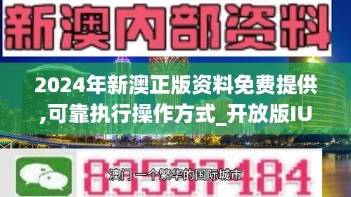 2024年新澳资料免费公开-词语释义解释落实