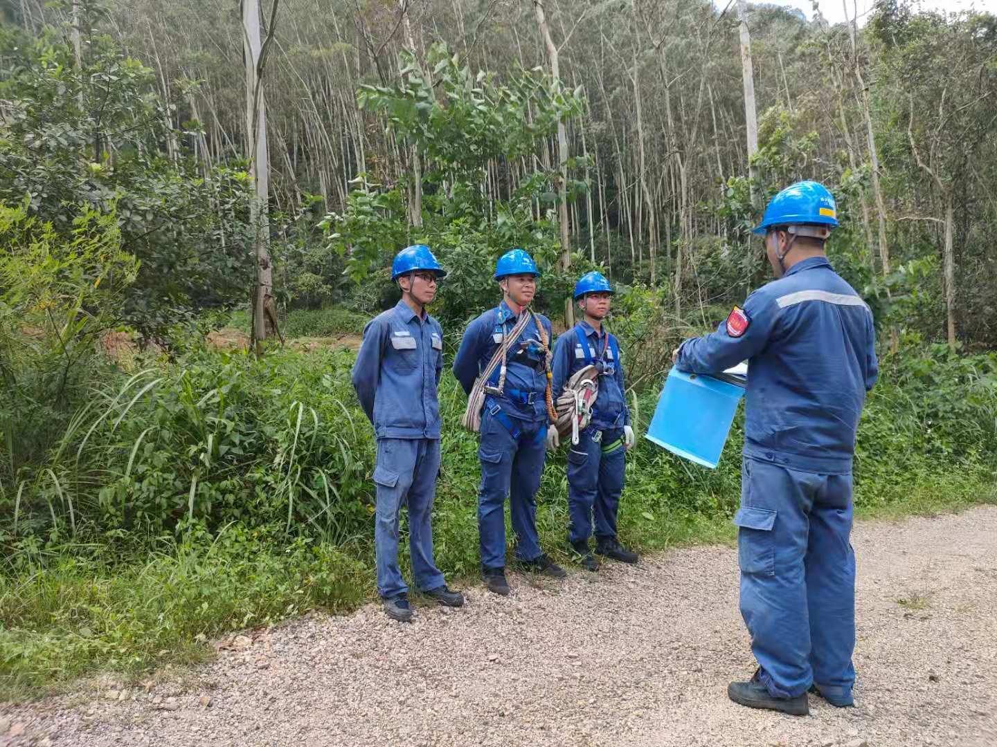 南宁避雷公司最新动态，引领防雷技术，护航城市安全