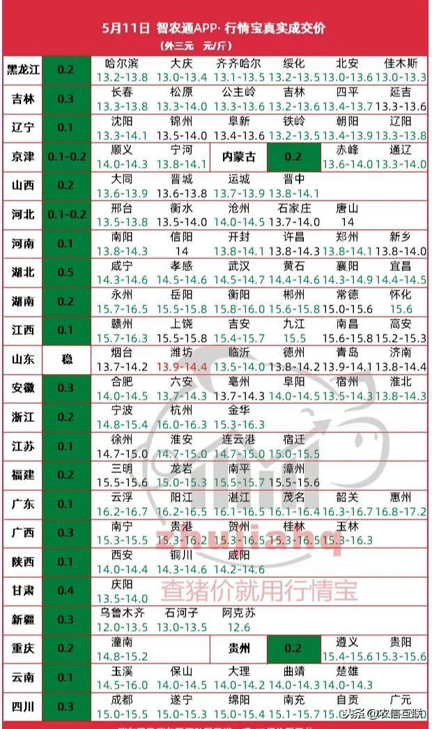 今天猪价格最新价格动态分析