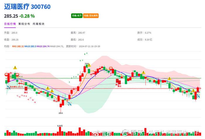 最新基金持仓股票深度解析