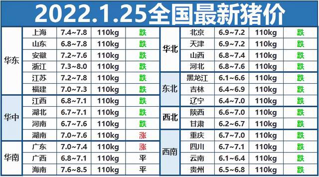 全国猪价最新行情分析