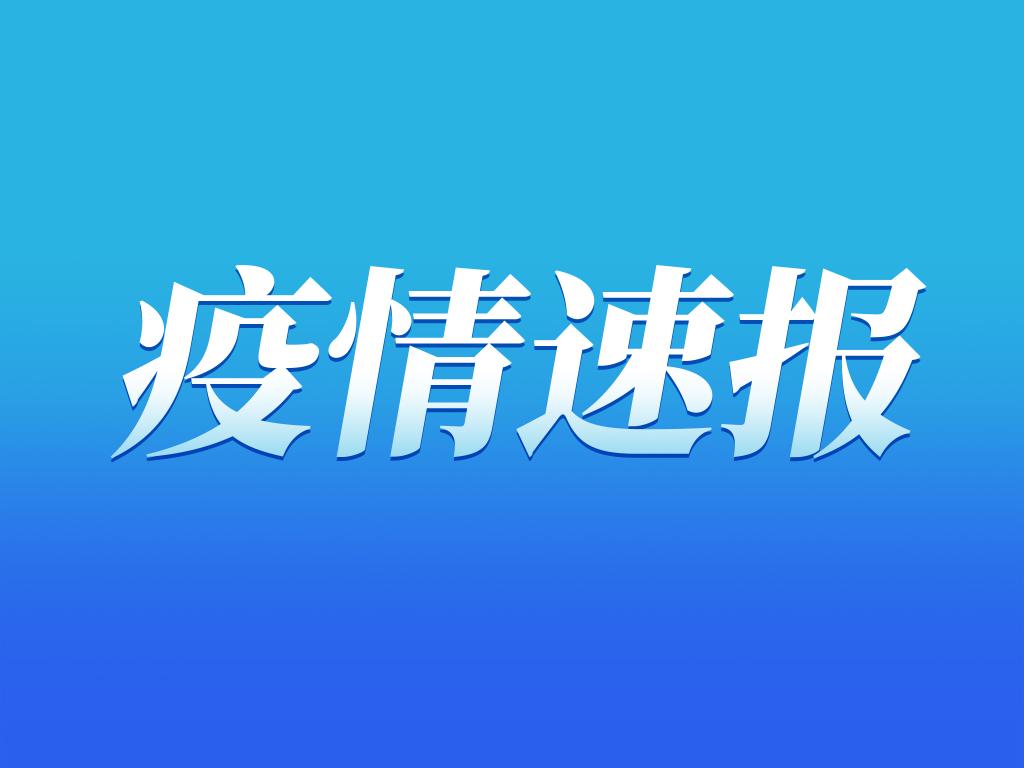 重庆最新肺炎疫情发布，全面应对，共克时艰