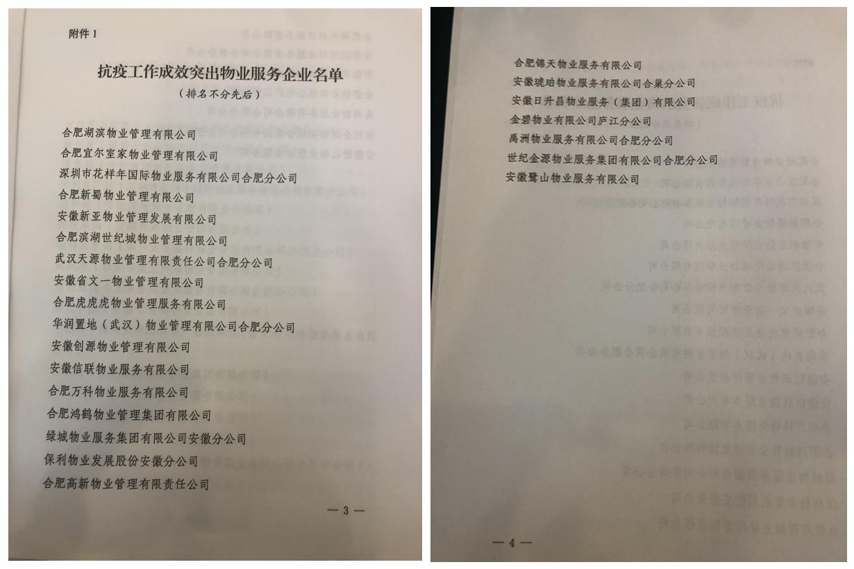 安微最新肺炎疫情，全面应对与积极防控